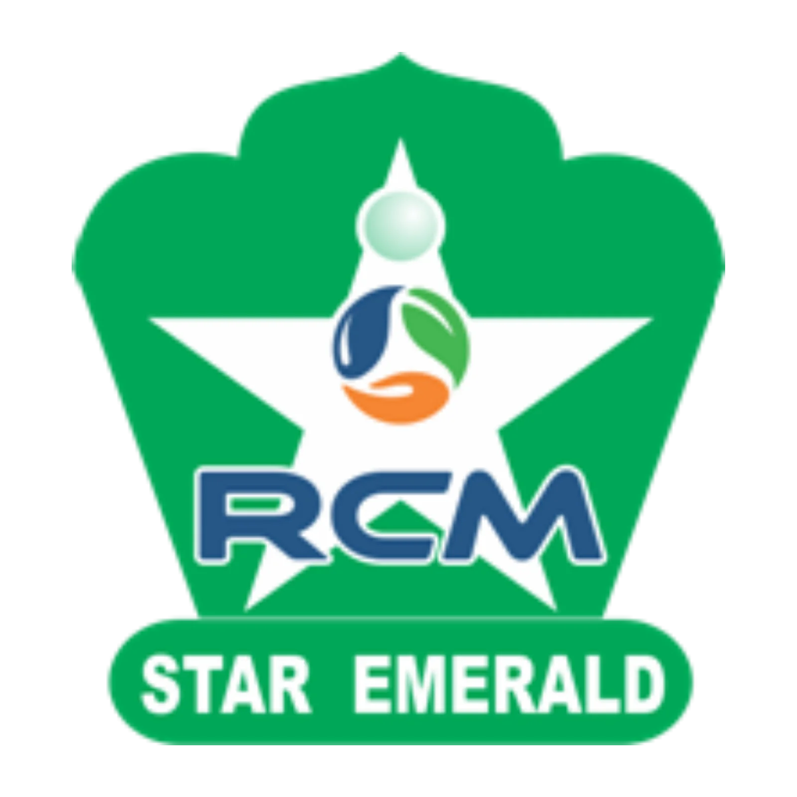 STAR EMERALD PIN