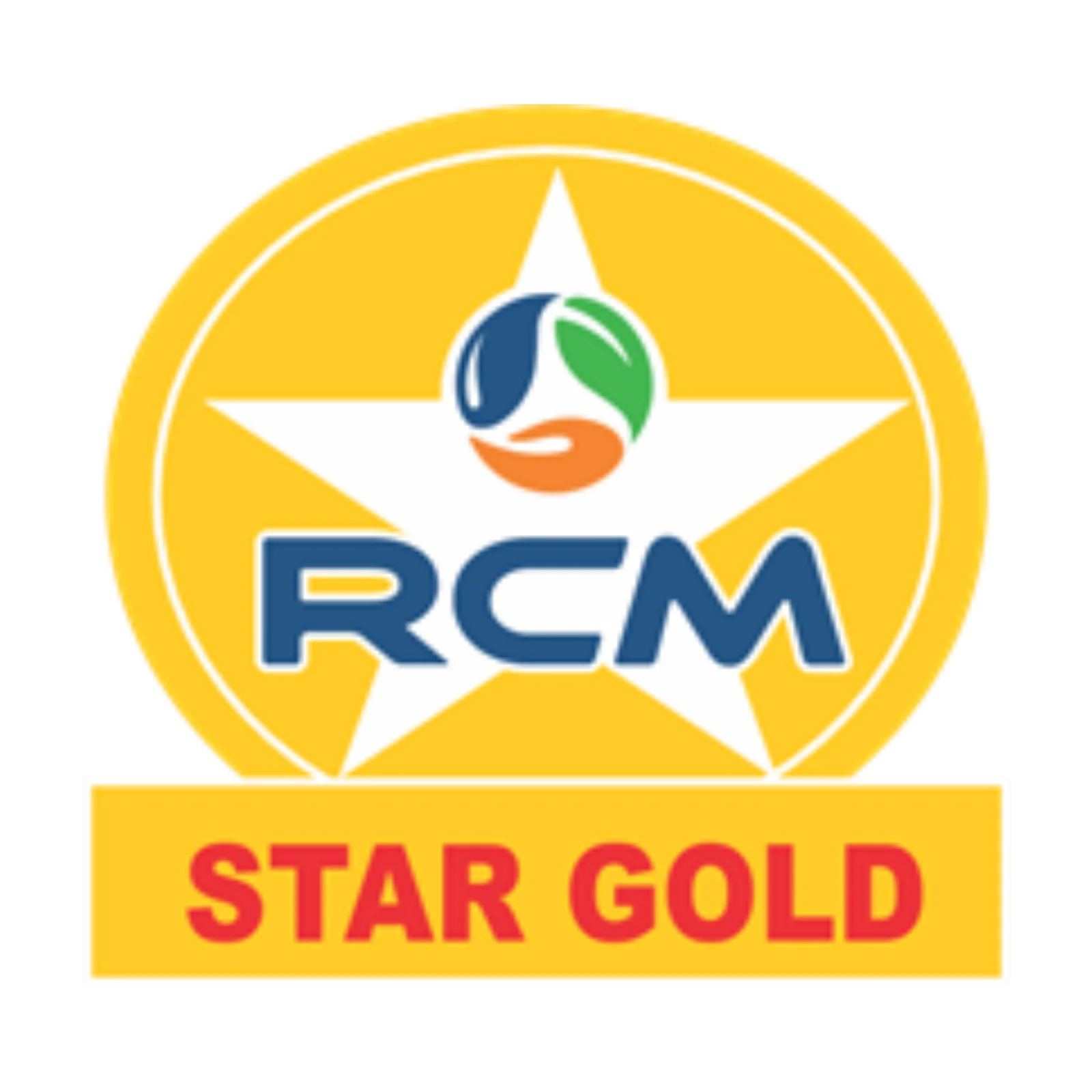 STAR GOLD PIN