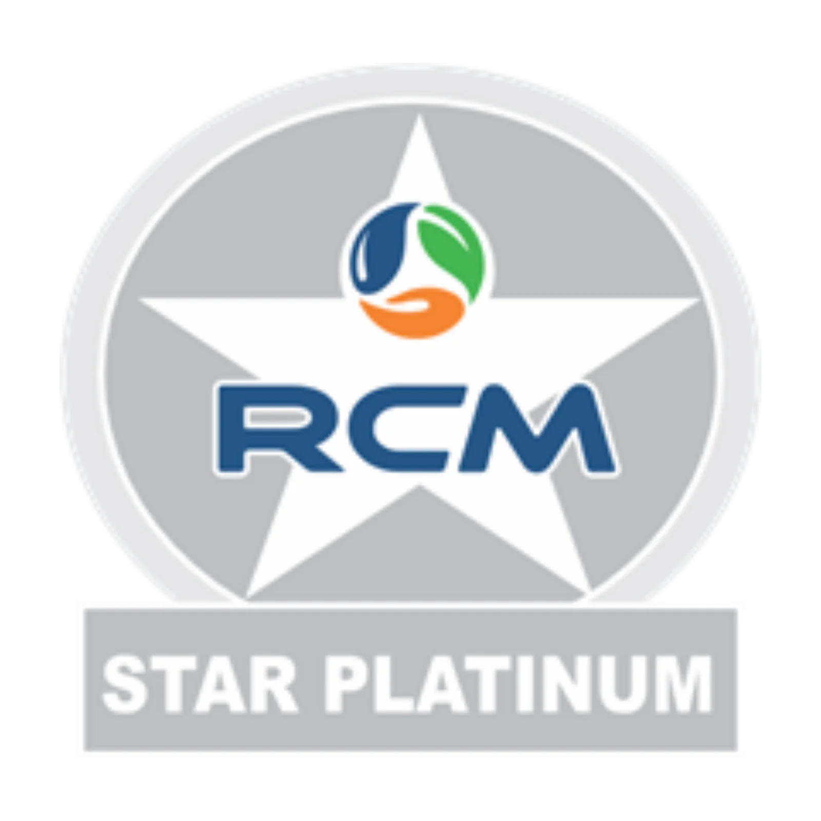 STAR PLATINUM PIN