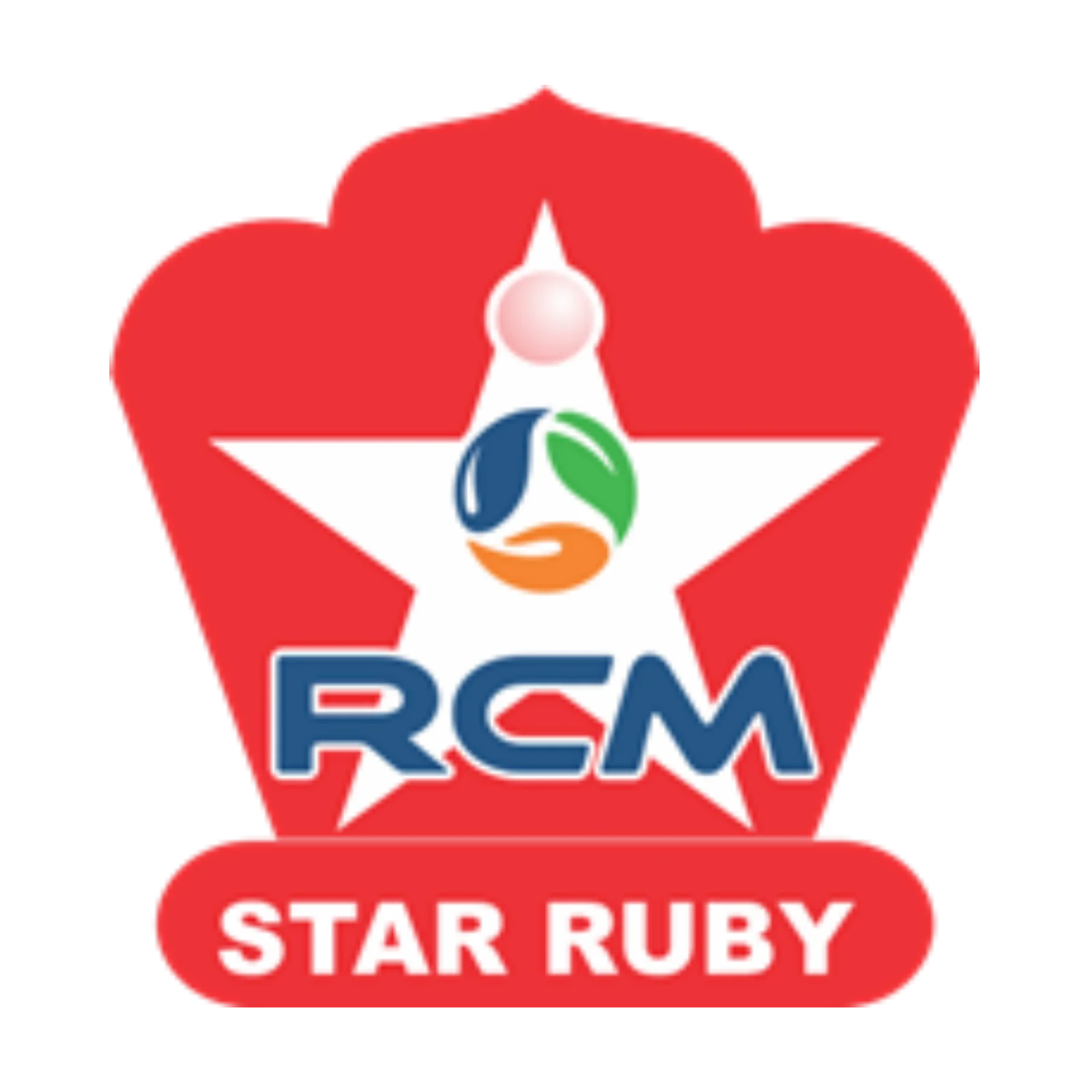 STAR RUBY PIN