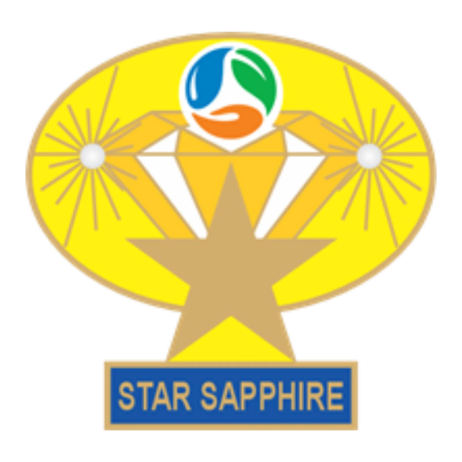 STAR SAPPHIRE PIN